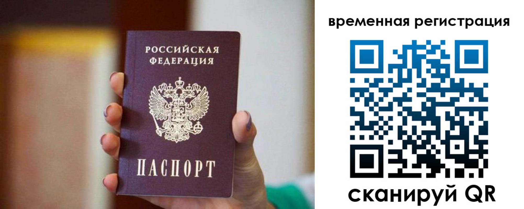 прописка паспорт в Судогде